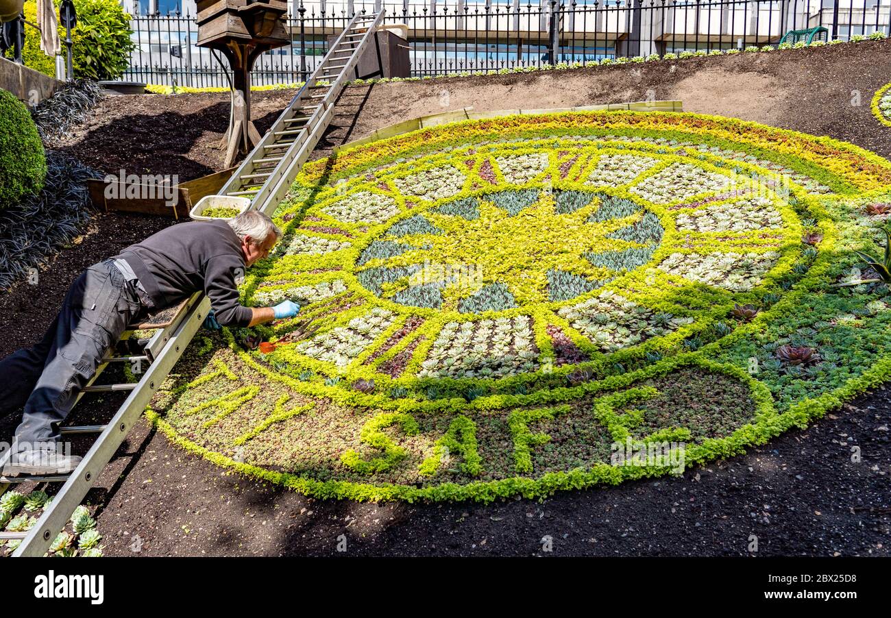 Edimbourg, Ecosse, Royaume-Uni. 4 juin 2020. Comme Covid-19 LockDown relaxation continue en Ecosse très peu de magasins et d'entreprises sont ouverts. Les rues restent calmes et les pubs et, à quelques exceptions près, les bars et les pubs sont fermés. Photo : jardinier qui tend vers la célèbre horloge florale des Princes Street Gardens. Iain Masterton/Alay Live News Banque D'Images
