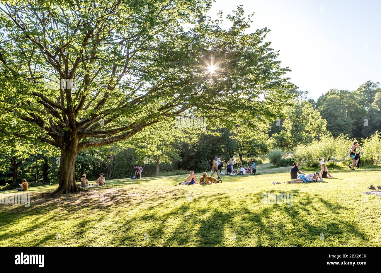 Personnes assises à Waterlow Park Highgate Londres Royaume-Uni Banque D'Images