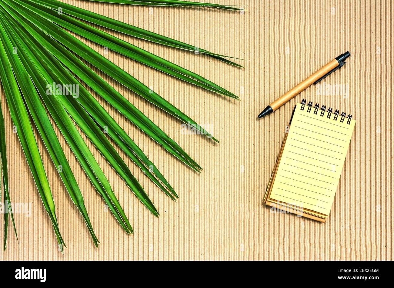 Feuille de palmier, carnet en papier recyclé et un stylo sur fond de  texture papier kraft avec bandes verticales.vue du dessus, espace de copie  Photo Stock - Alamy