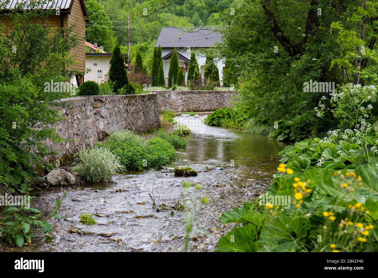 Un endroit pour les cottages avec une vue magnifique sur un petit ruisseau forestier Banque D'Images