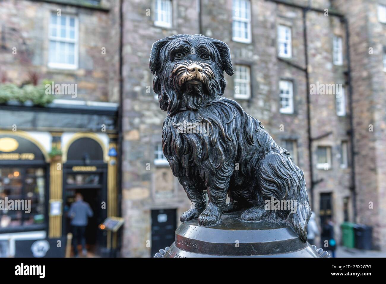 Statue de Greyfriars Bobby pub à Édimbourg, capitale de l'Écosse, partie du Royaume-Uni Banque D'Images