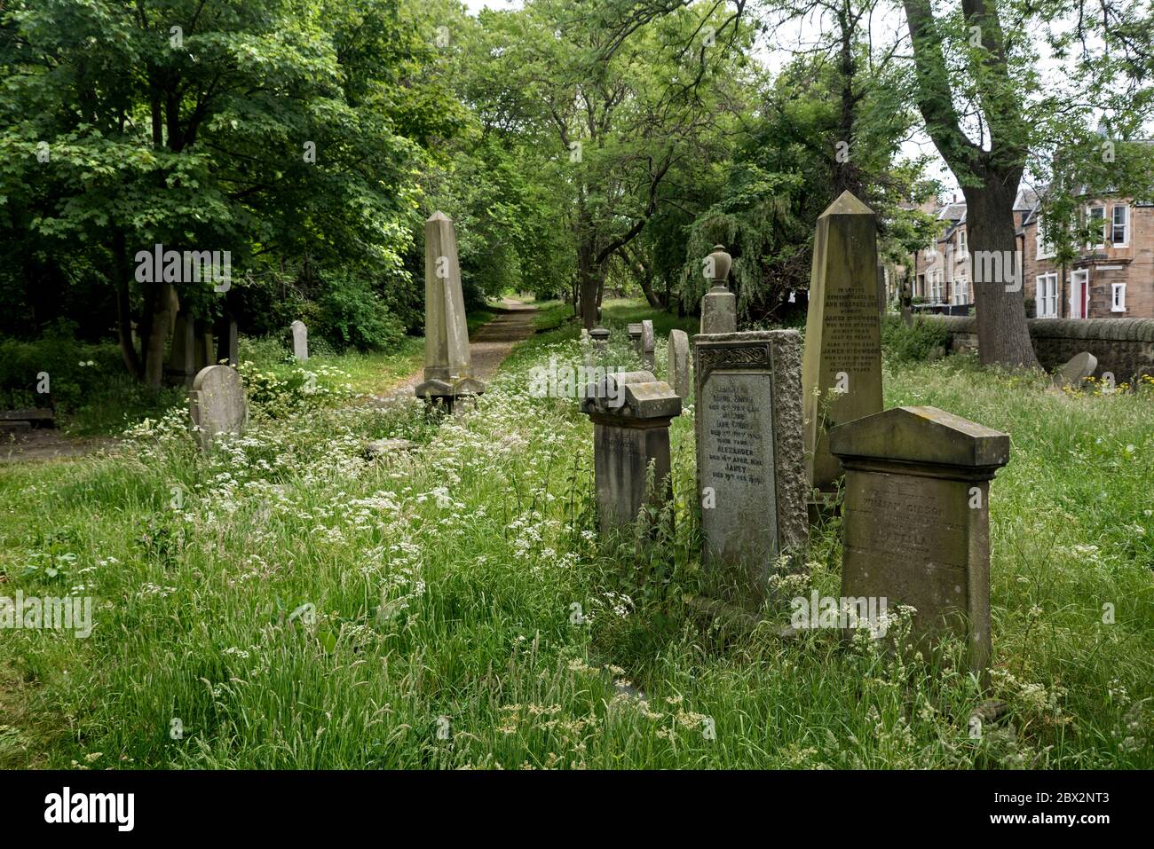 Le cimetière Dalry, négligé et surcultivé, Édimbourg, Écosse, Royaume-Uni Banque D'Images