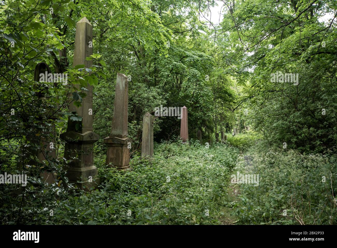 Le cimetière Dalry, négligé et surcultivé, Édimbourg, Écosse, Royaume-Uni Banque D'Images