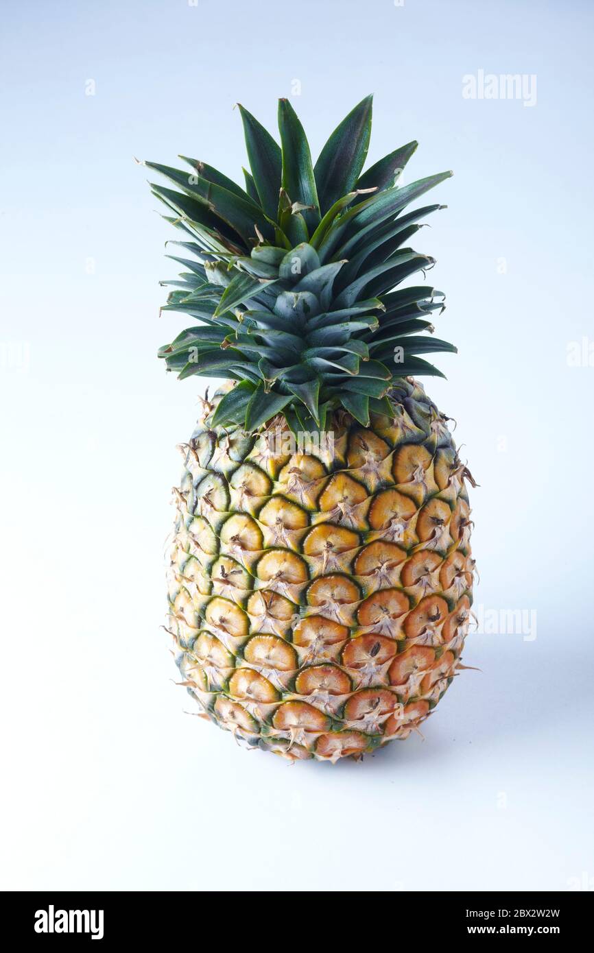 Ananas Banque D'Images