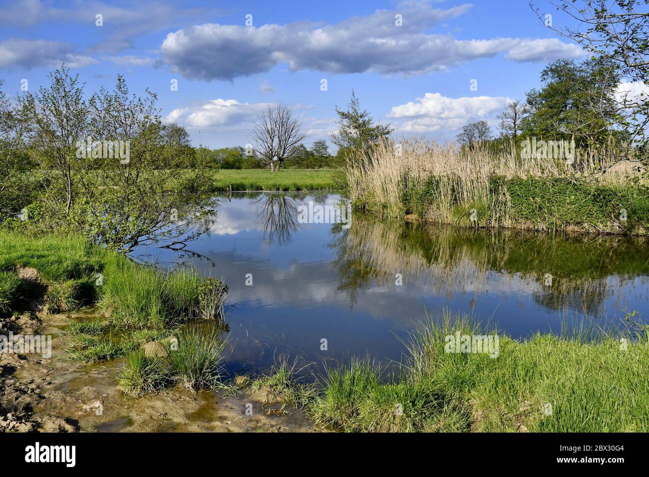 France, territoire de Belfort, vallée de la Bourbeuse au printemps Banque D'Images