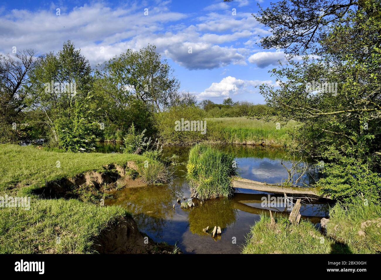 France, territoire de Belfort, vallée de la Bourbeuse au printemps Banque D'Images