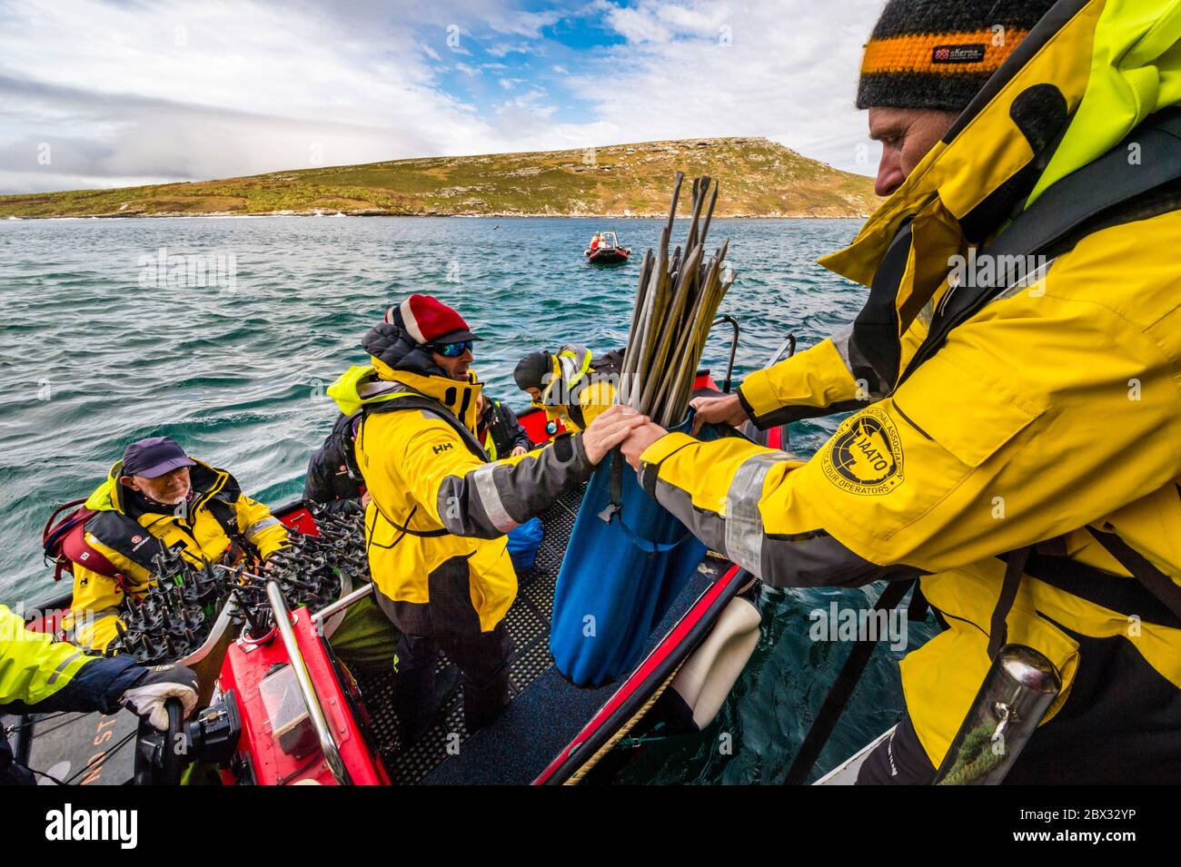 Îles Falkland, West point Island, l'équipe scientifique envoie des marqueurs de sentier pour éviter de perturber la faune locale et protéger la flore la plus fragile, avant la visite des voyageurs Banque D'Images