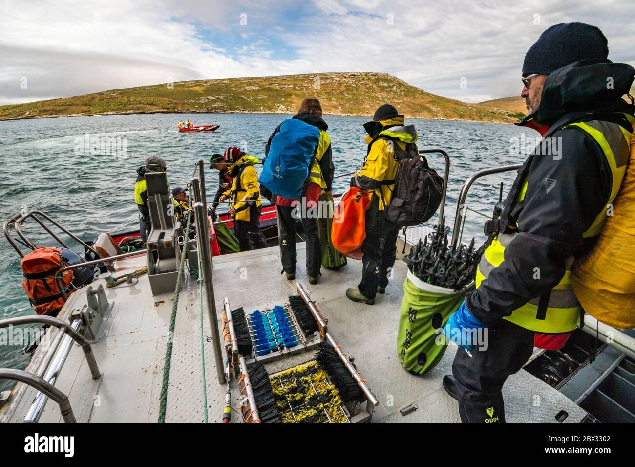 Îles Falkland, West point Island, l'équipe scientifique envoie des marqueurs de sentier pour éviter de perturber la faune locale et protéger la flore la plus fragile, avant la visite des voyageurs Banque D'Images