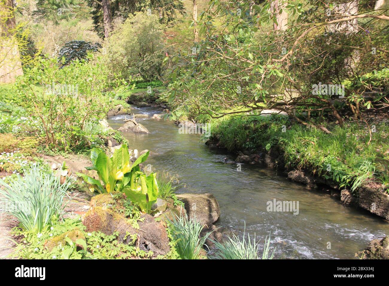 Bodnant Garden au pays de Galles, Royaume-Uni Banque D'Images