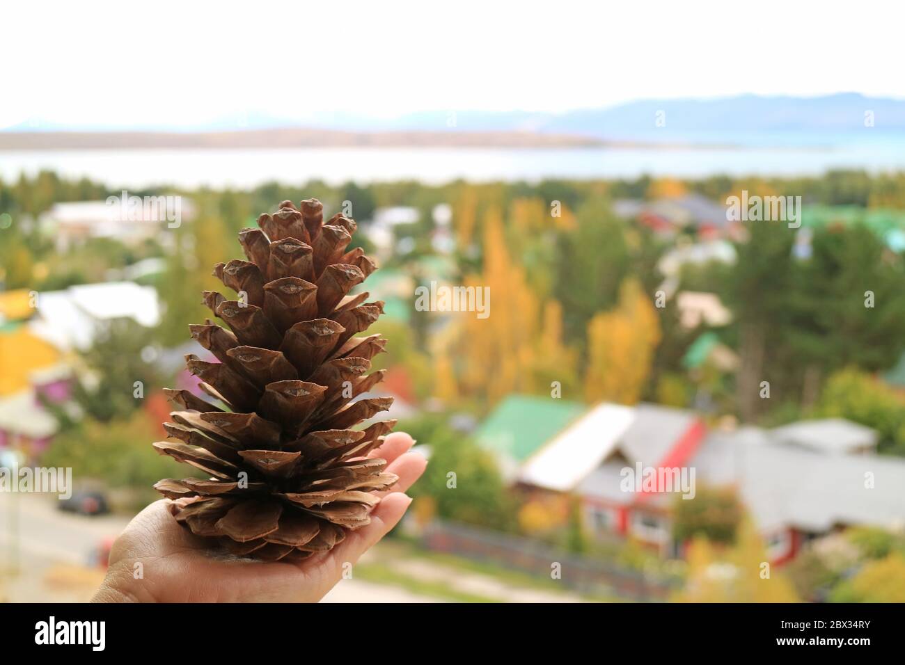 Un cône de pin avec vue floue en automne sur la ville de Lakeside en arrière-plan Banque D'Images