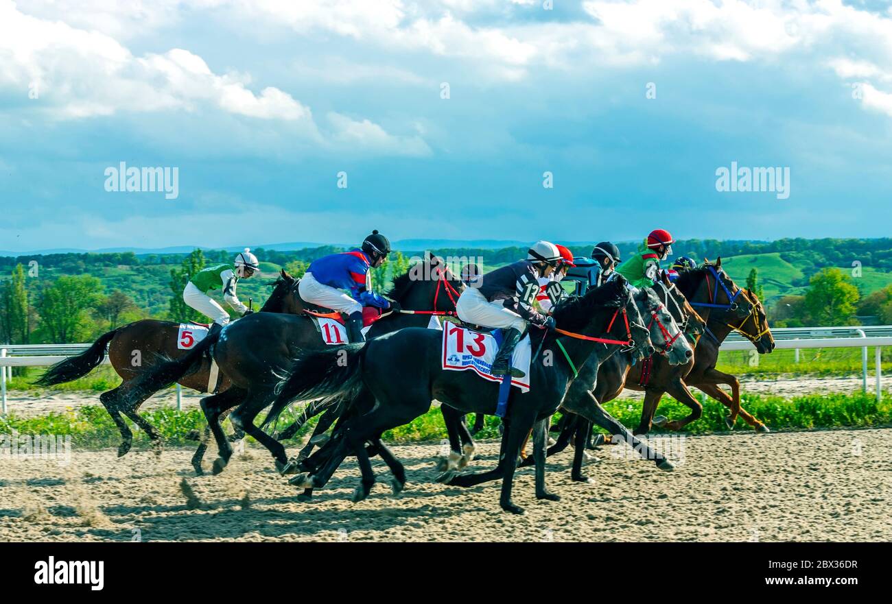 PYATIGORSK, RUSSIE - MAY10,2020:course de fin de cheval pour le jour de la garde frontière prix de l'hippodrome de Pyatigorsk, le plus ancien et le plus grand en Russie Banque D'Images