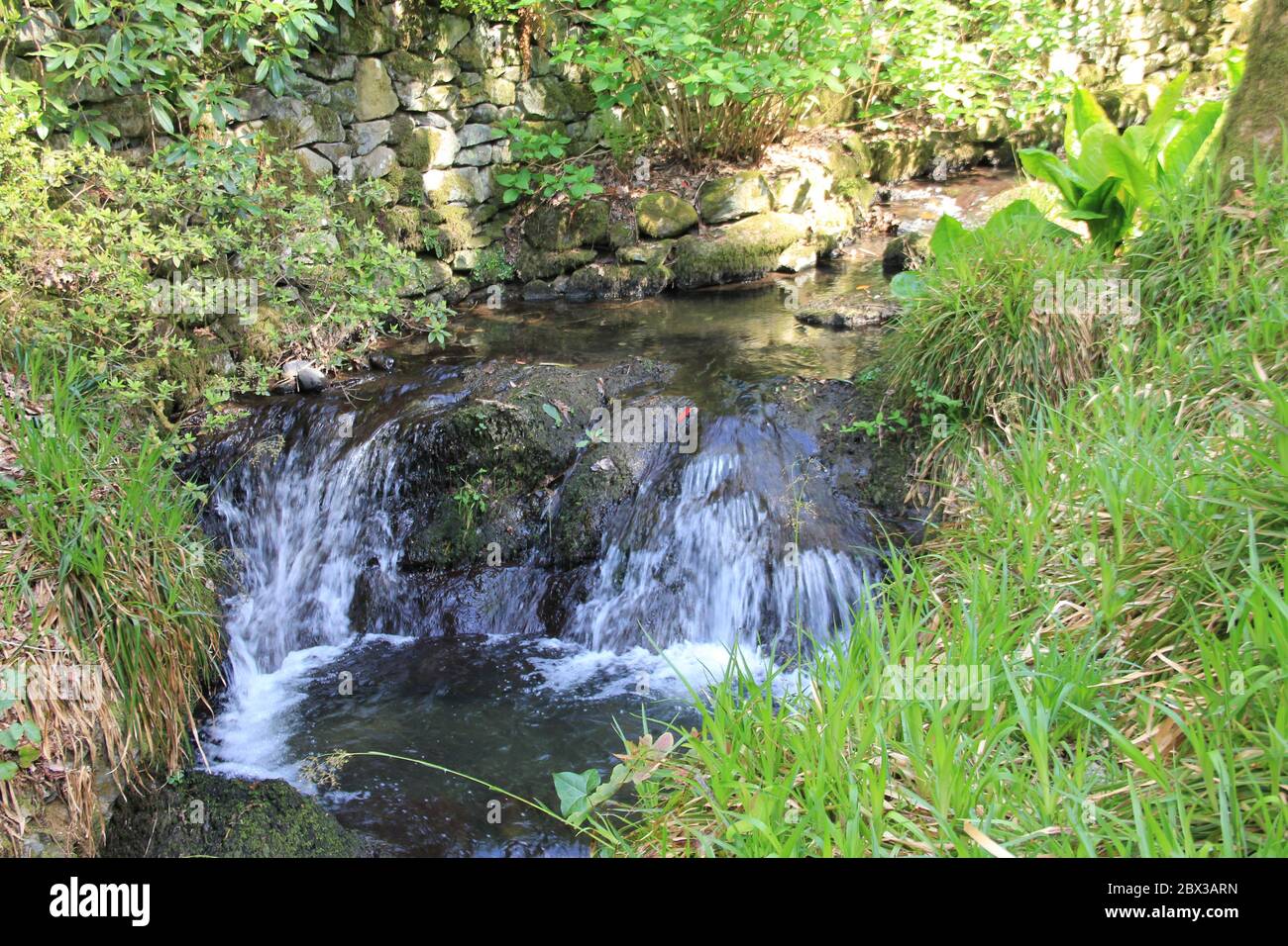 Bodnant Garden au pays de Galles, Royaume-Uni Banque D'Images