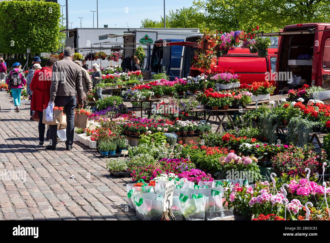 Fleurs de jardin et de balcon à vendre sur la place Hakaniemi à Helsinki, en Finlande Banque D'Images