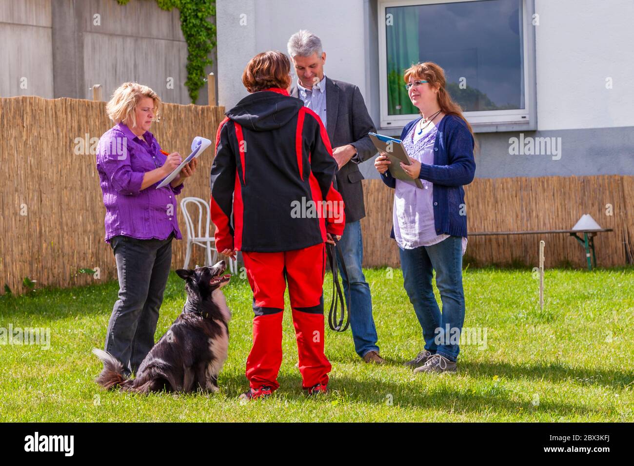 Examen des chiens de détection de moisissures à Dortmund, Allemagne Banque D'Images