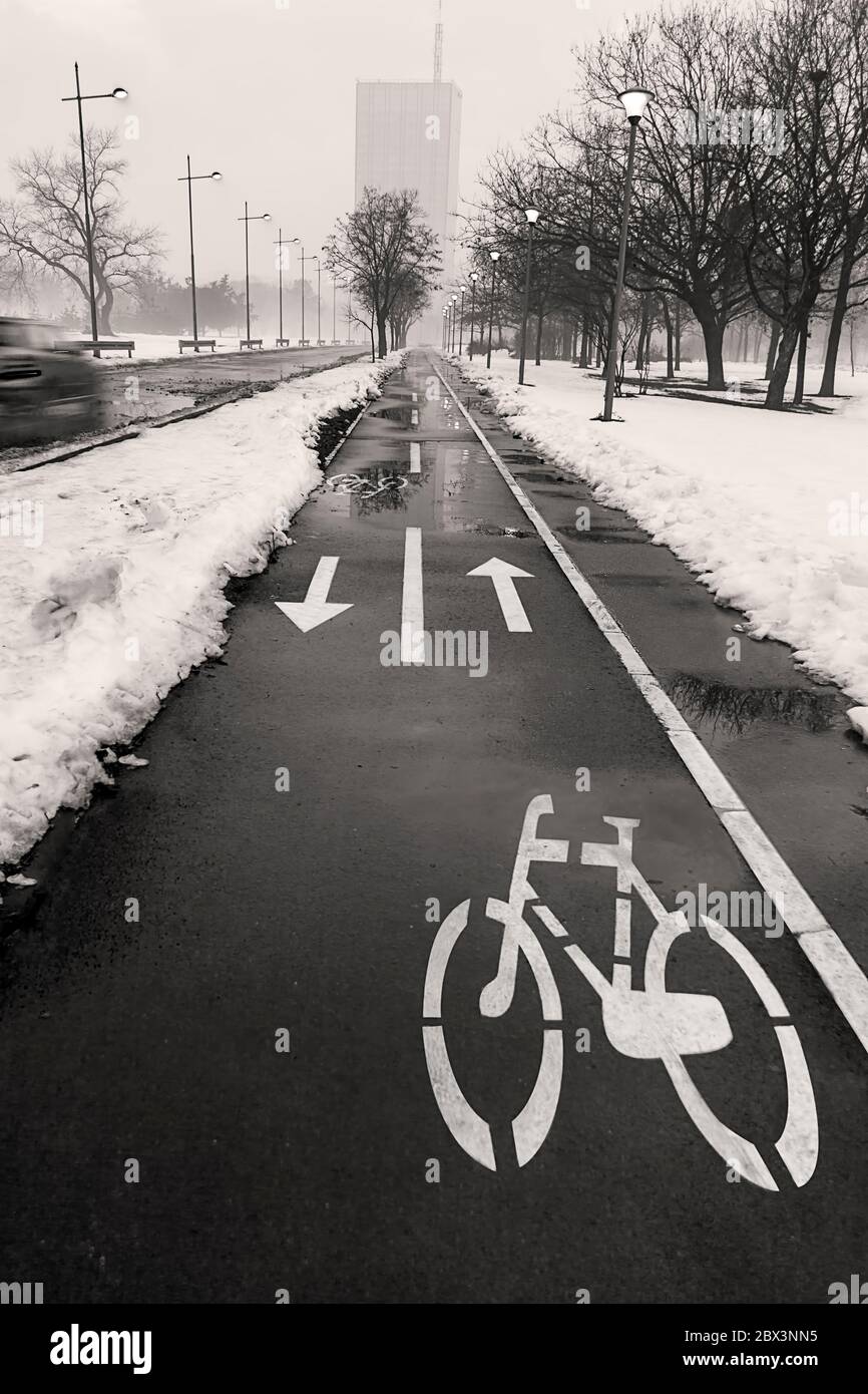 Voie cyclable humide en ville par mauvais temps en hiver avec la signalisation routière peinte sur le trafic d'asphalte symbole. Image en noir et blanc Banque D'Images