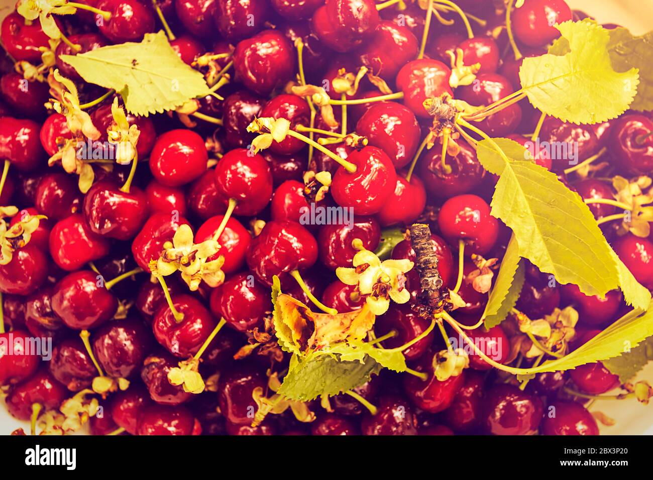 Cerises fraîches au marché agricole vue d'en haut, l'image Banque D'Images