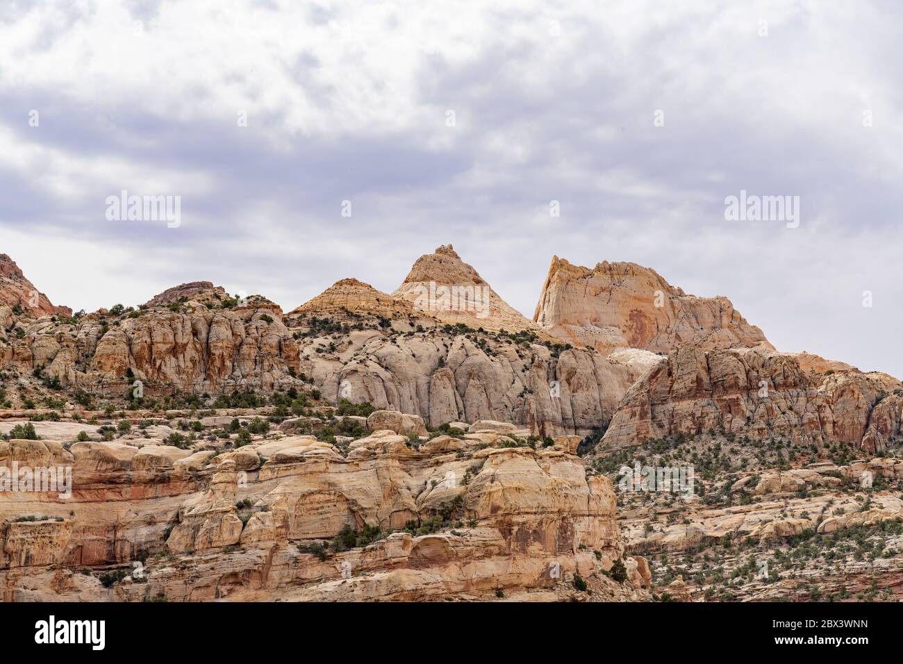 Magnifique paysage le long de la Cassidy Arch Trail du parc national de Capitol Reef, dans l'Utah Banque D'Images