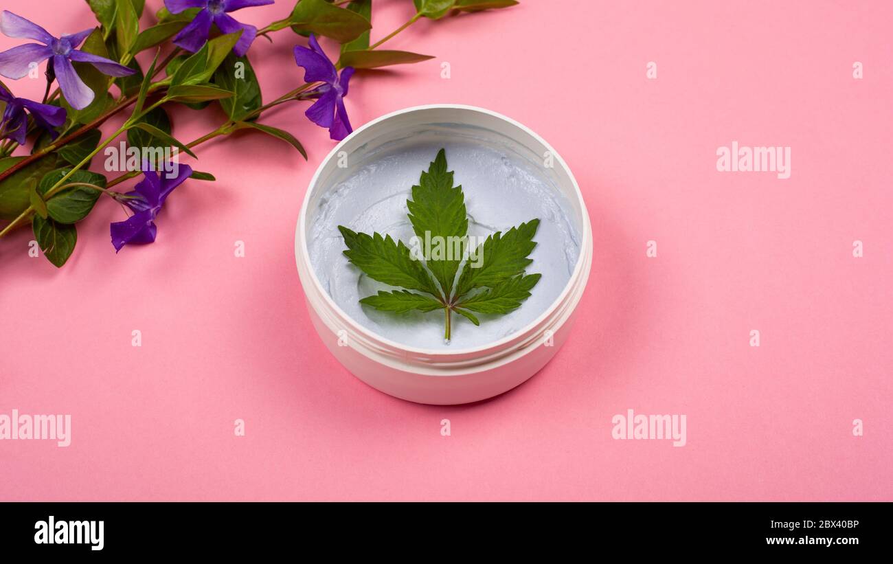 cosmétiques de soins du corps avec marijuana. pot rond blanc avec un gommage du corps avec une feuille de chanvre et des branches de fleurs violettes sur fond rose Banque D'Images