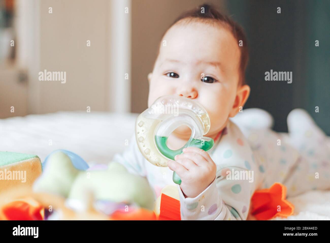 Portrait d'un bébé, d'un garçon ou d'une fille de 6 mois, jouant avec un jouet de dentition. Banque D'Images