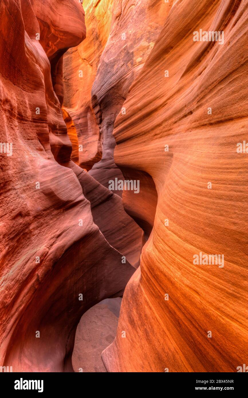 Tourbillons dans le canyon de la fente de Peekabook, au large de la fourche sèche de Coyote Gulch, dans le monument national de Grand Staircase-Escalante, Utah Banque D'Images