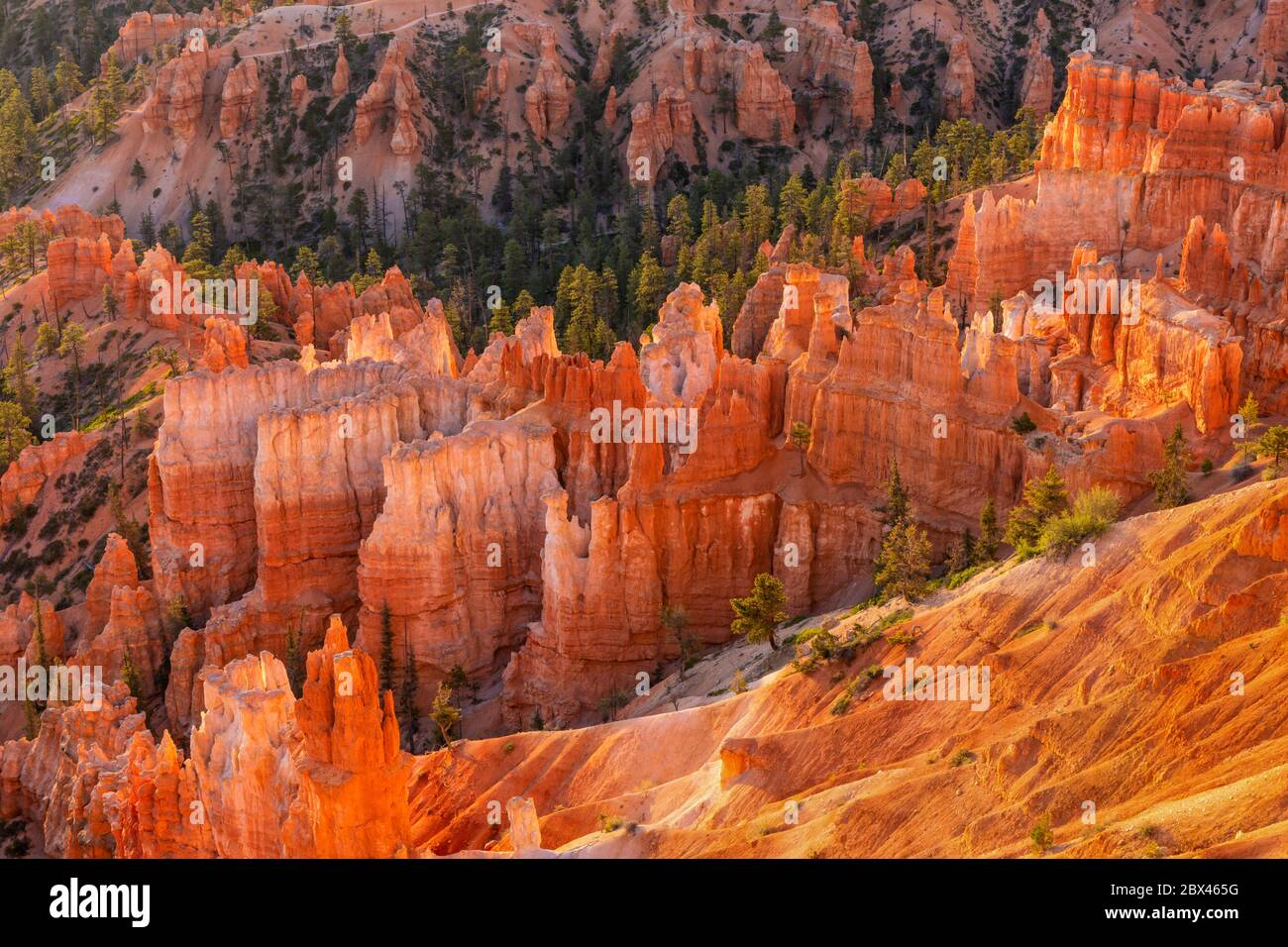 Des zoos à Bryce Canyon éclairés par la lumière de rebond du matin, vus depuis inspiration point dans le parc national de Bryce Canyon, Utah. Banque D'Images