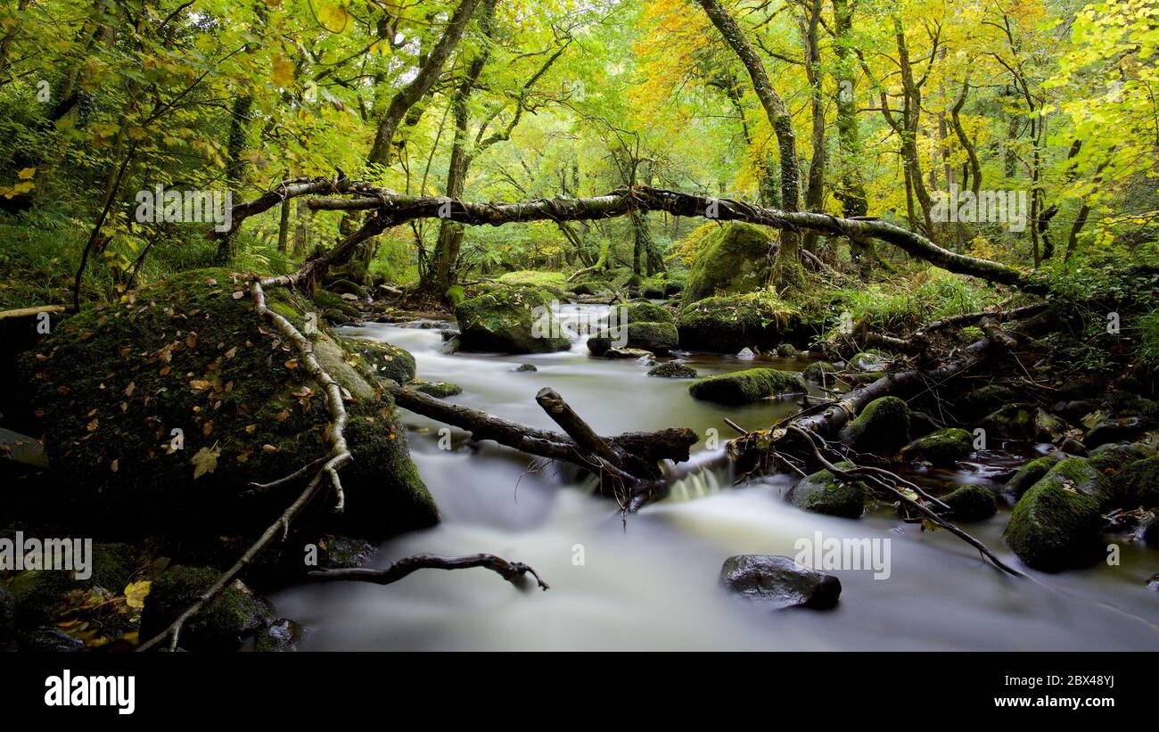 Rivière Teign - Devon Banque D'Images