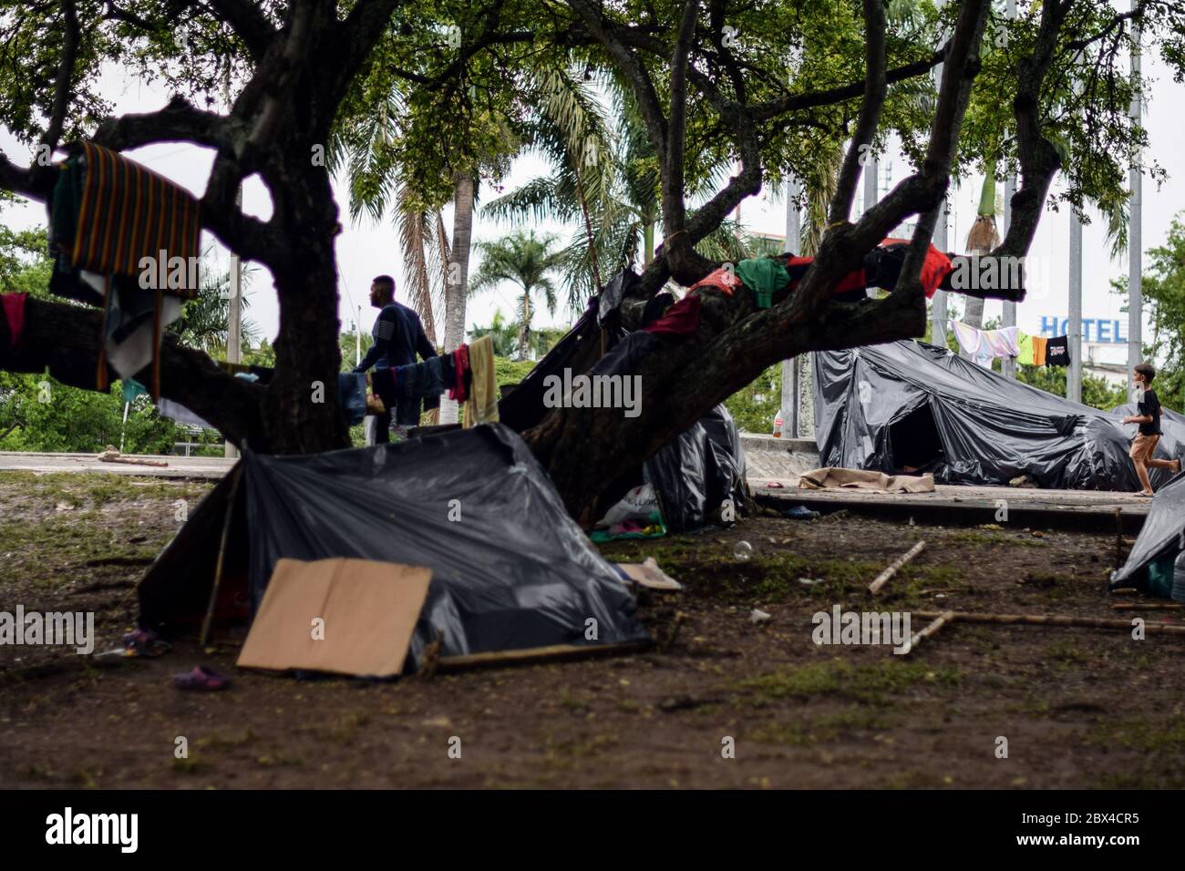 Les Vénézuéliens bloqués construisent un camp de fortune dans un parc couvert d'arbres au milieu de la pandémie de Covid-19, en attendant l'occasion de retourner dans leur pays, Cali, Banque D'Images