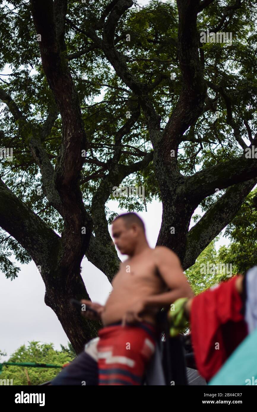 Les Vénézuéliens bloqués construisent un camp de fortune dans un parc couvert d'arbres au milieu de la pandémie de Covid-19, en attendant l'occasion de retourner dans leur pays, Cali, Banque D'Images