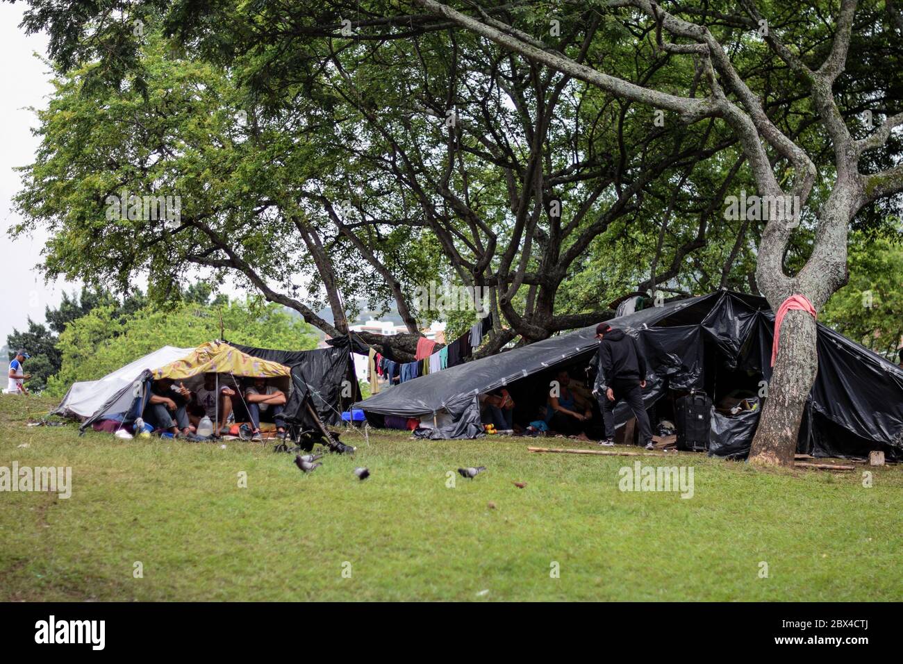 Les Vénézuéliens bloqués construisent un camp de fortune dans un parc couvert d'arbres au milieu de la pandémie de Covid-19, en attendant l'occasion de retourner dans leur pays, Cali, Banque D'Images