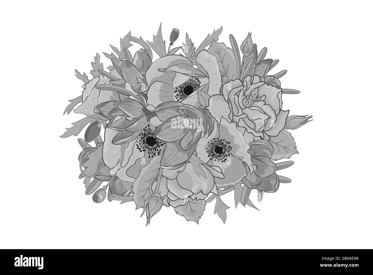 Crocus monochrome dessiné à la main, coquelicot, fleurs de rose arrangement rond. Élément à motif fleuri. Isolé sur fond blanc. Illustration vectorielle Illustration de Vecteur Crocus monochrome dessiné à la main, coquelicot, fleurs de rose arrangement rond. Élément à motif fleuri. Isolé sur fond blanc. Illustration vectorielle Illustration de Vecteur