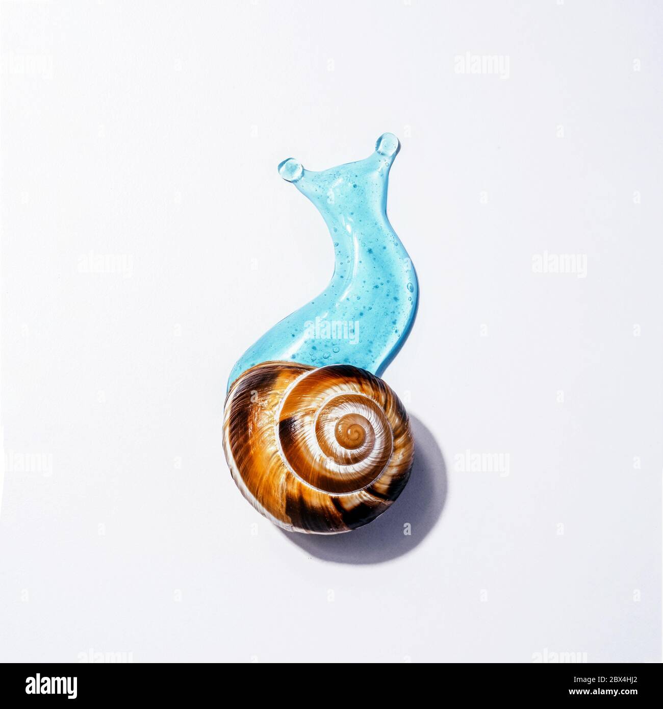 Image créative des cosmétiques avec le concept d'escargot soins du visage et du corps avec la lime à ongles Banque D'Images