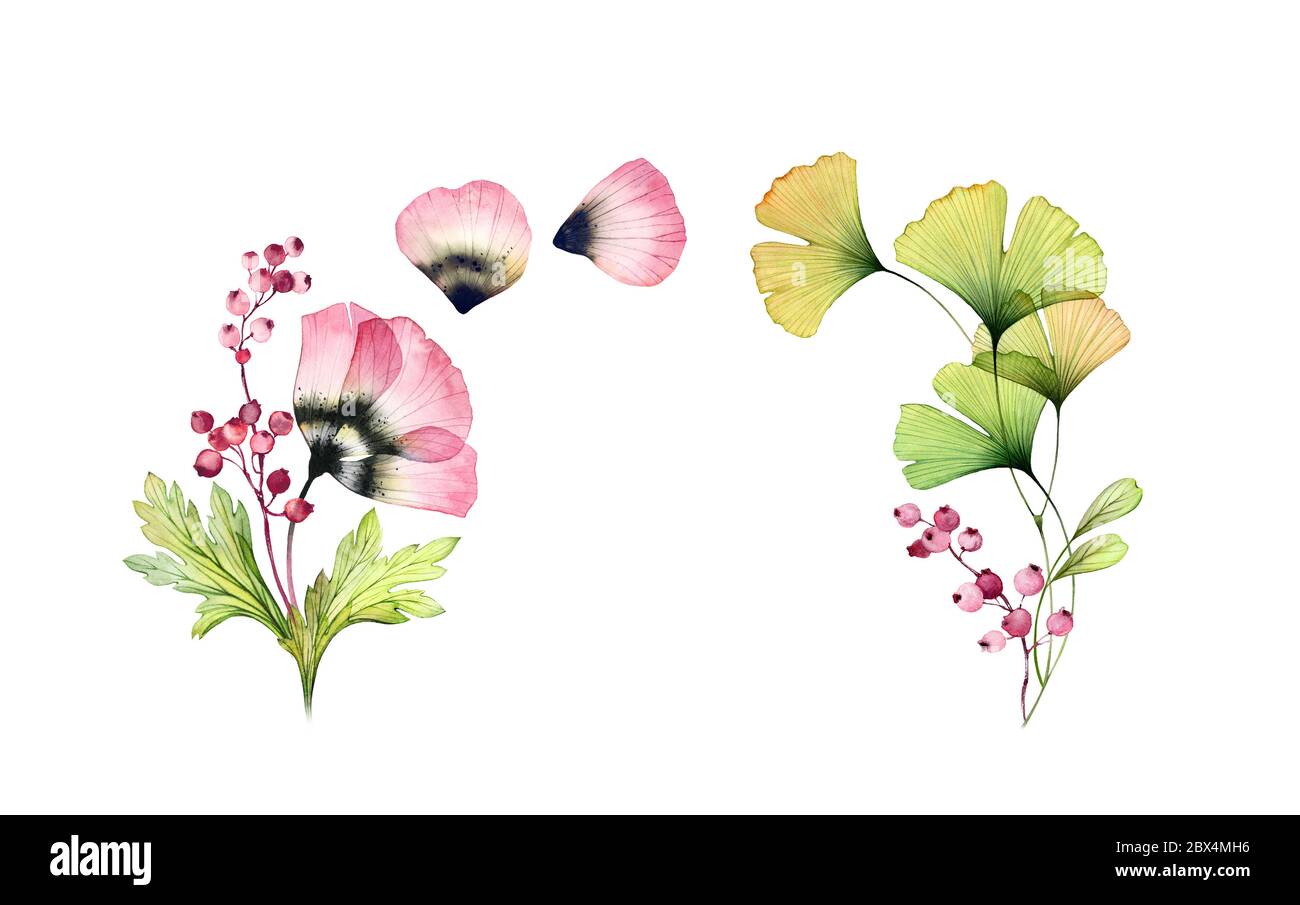 Fond floral aquarelle. Modèle de carte horizontal avec emplacement pour le texte. Fleurs de tulipe transparentes et feuilles de gingko. Bannière isolée dessinée à la main Banque D'Images