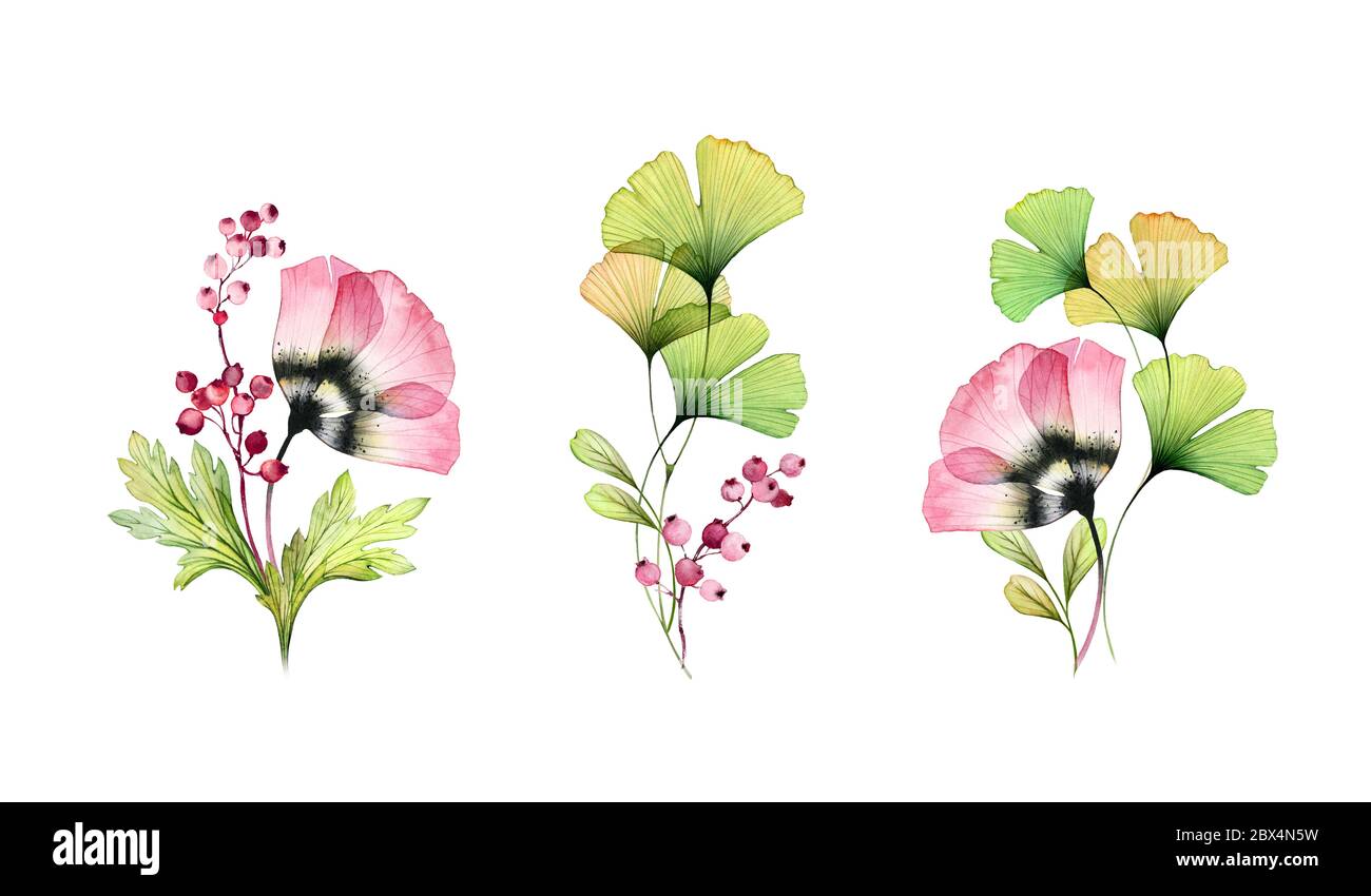 Ensemble floral de tulipes aquarelle. Collection de bouquets. Fleurs abstraites, feuilles de gingko. Baies isolées sur blanc. Botanique dessiné à la main Banque D'Images