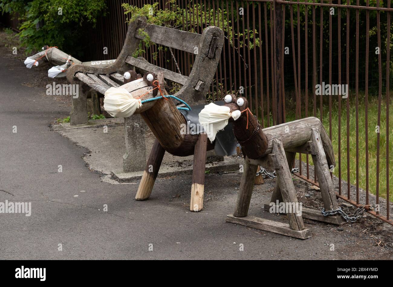 Sedbergh, Cumbria, Royaume-Uni. 4 juin 2020. Les chiens en bois portant leur propre EPI sur le côté de la route d'entrée de Sedbergh, Cumbria, rappelant aux visiteurs de rester vigilants face au coronavirus. Crédit : John Eveson/Alay Live News Banque D'Images