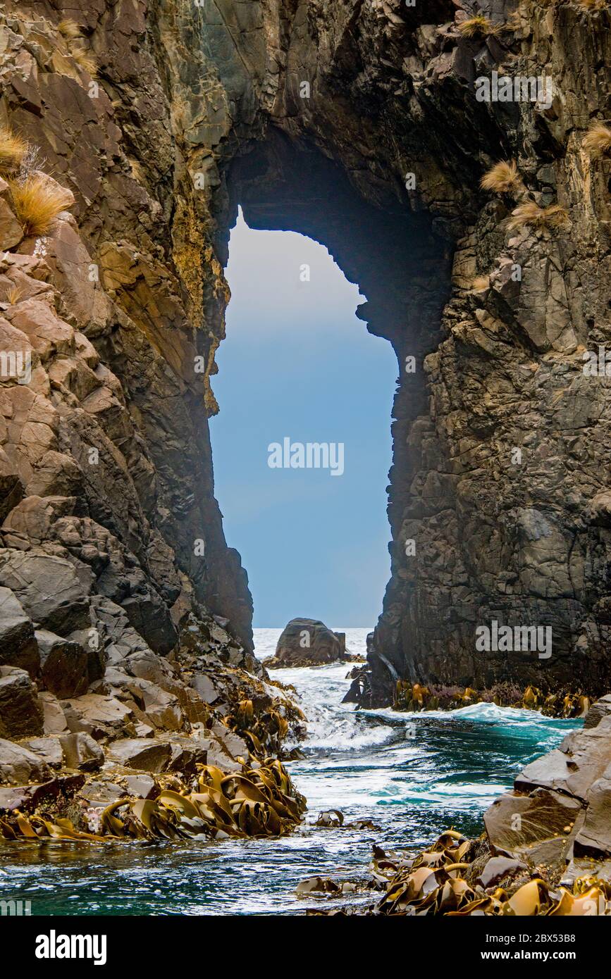 Sea Arch Bruny Island Tasmanie Australie Banque D'Images