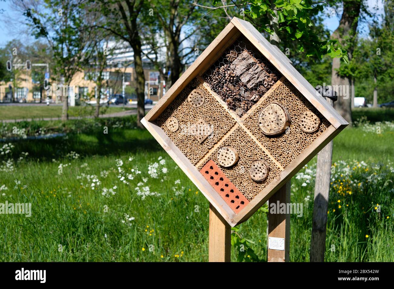 Hôtel d'insectes dans les parcs entre les bâtiments de la ville Banque D'Images