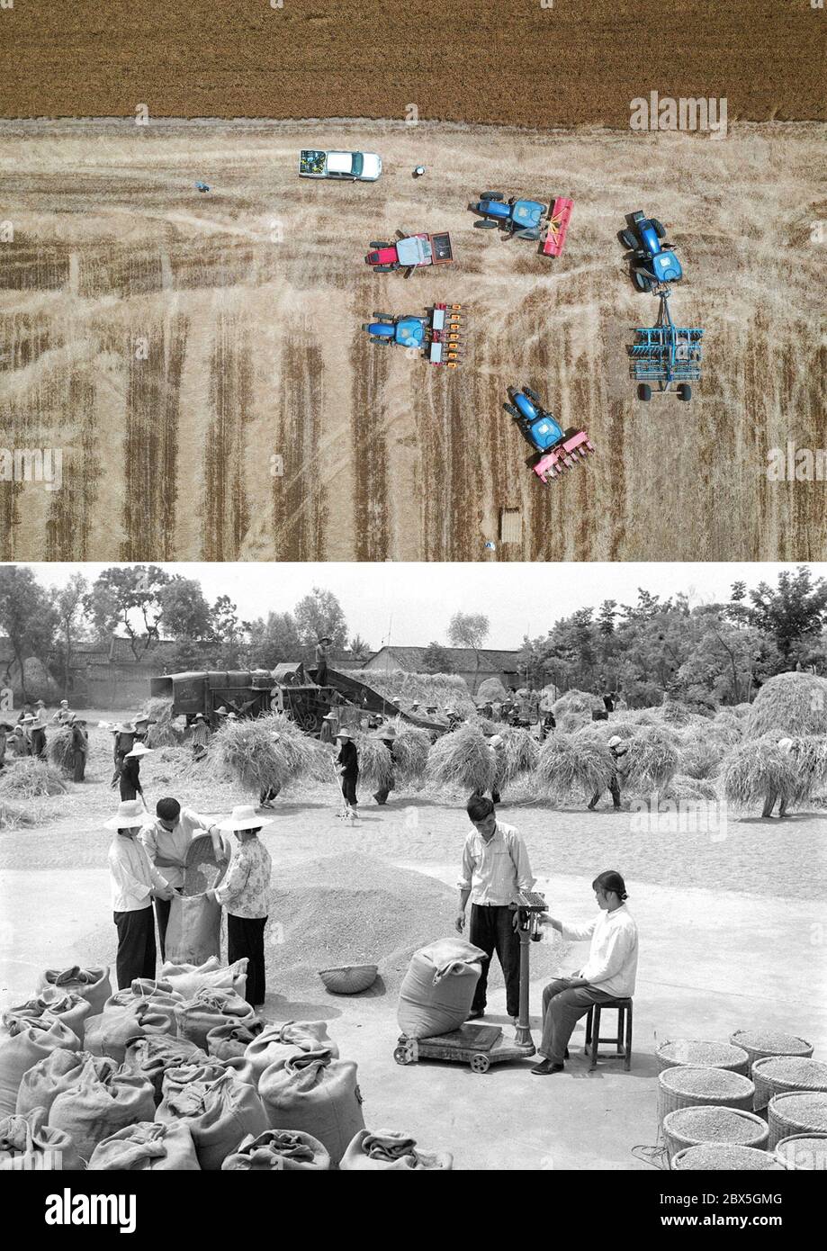 (200605) -- ZHENGZHOU, 5 juin 2020 (Xinhua) -- la photo combinée montre plusieurs machines agricoles qui se rassemblent dans le champ du village d'Anzhong, ville de Xiaoyangying, dans la ville de Dengzhou, province du Henan en Chine centrale (UP, photo aérienne prise le 26 mai 2020 par Feng Dapeng), Et les agriculteurs qui battent du blé dans le comté de Guangji, dans la province de Hubei, en Chine centrale (en bas, photo du fichier publiée le 15 juin 1977 par Xinhua). Depuis la fondation de la République populaire de Chine, le niveau de mécanisation agricole en Chine s'est constamment amélioré et la production céréalière a augmenté de façon constante. Les informations pi récentes et de fichier Banque D'Images