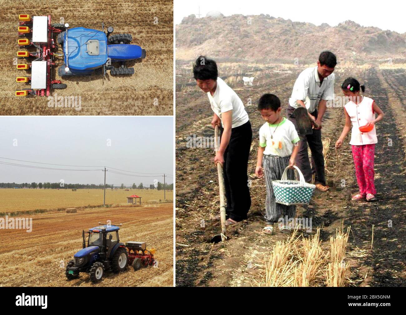 (200605) -- ZHENGZHOU, 5 juin 2020 (Xinhua) -- La photo combinée montre un tracteur sans pilote équipé du système de navigation Beidou semant des graines dans le champ du village d'Anzhong de la ville de Xiaoyangying à Dengzhou, dans la province de Henan en Chine centrale (à gauche, en haut et en bas, photos aériennes prises le 26 mai 2020 par Feng Dapeng), Et les agriculteurs semis des graines alors que le sol est mouillé après l'arrosage de la terre avec un système d'irrigation par sprinkleurs dans le comté de Ruyang, dans la province de Henan en Chine centrale (à droite, photo de dossier publiée le 11 juin 2001, prise par Wang Song). Depuis la fondation de la République populaire de Chine, le lev Banque D'Images