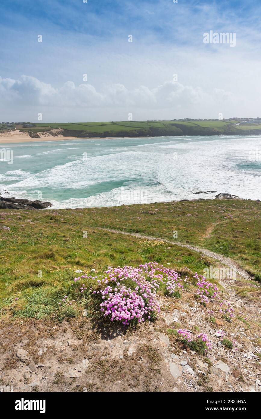 Vue sur la plage Crantock depuis Pentire point East à Newquay, en Cornouailles. Banque D'Images