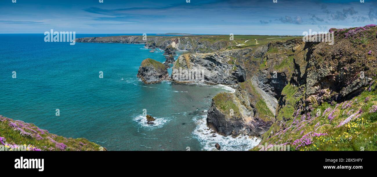 Vue panoramique sur la côte sauvage sauvage sauvage des marches de Bedrithan à Cornwall. Banque D'Images