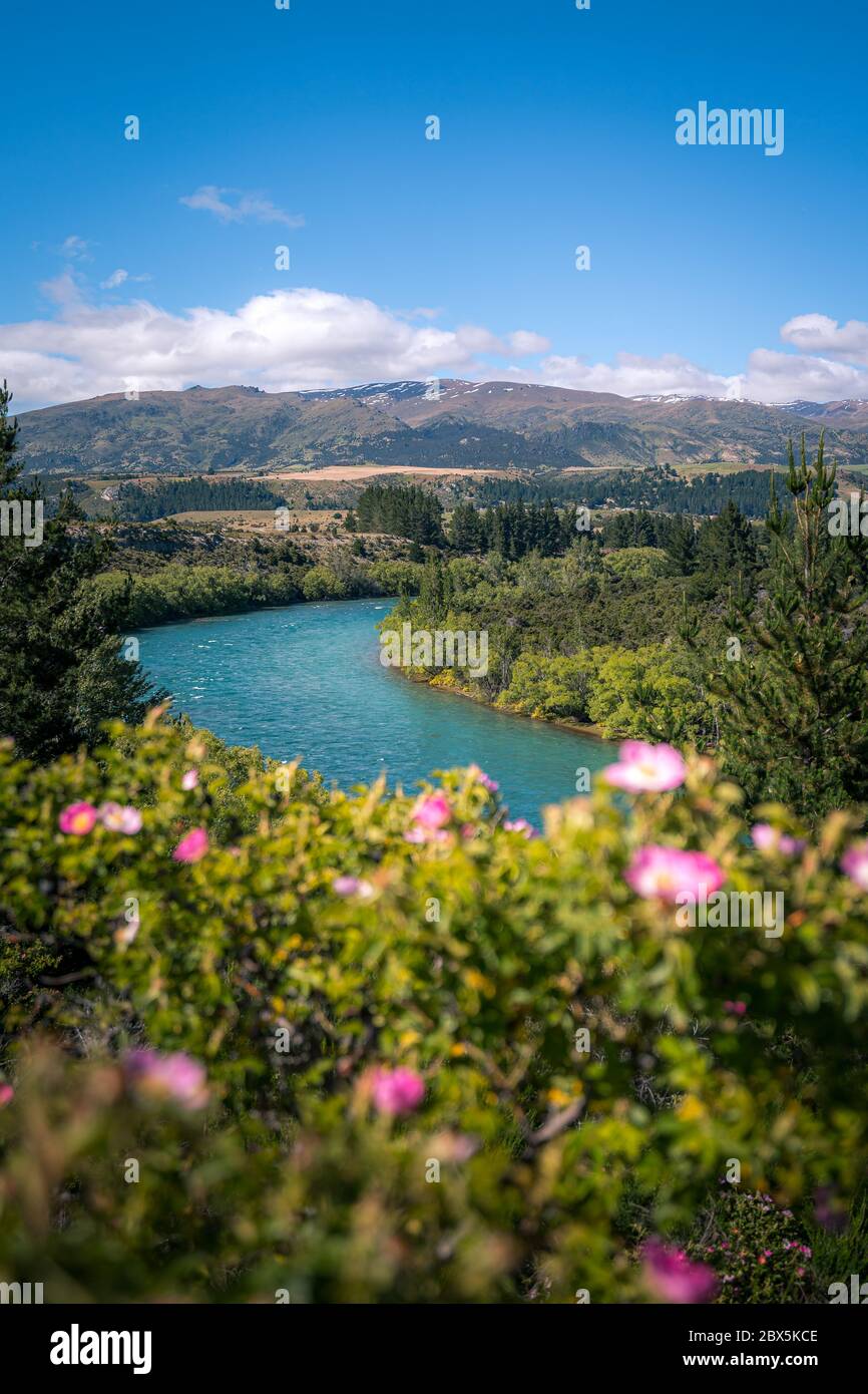 Shotover River, Queenstown, Nouvelle-Zélande Banque D'Images