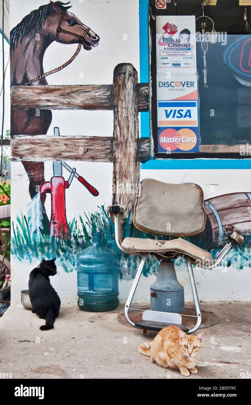 Chats à l'ouest des peintures murales à la boutique en front de route et café Contreras sur l'autoroute US-59 près de Laredo, Texas, Etats-Unis Banque D'Images