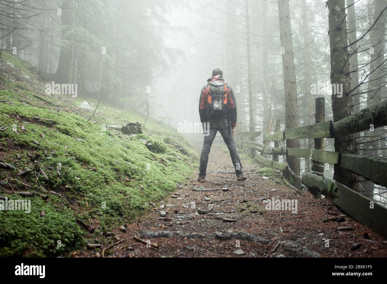 un homme qui marche seul dans une forêt par une journée de brouillard Banque D'Images