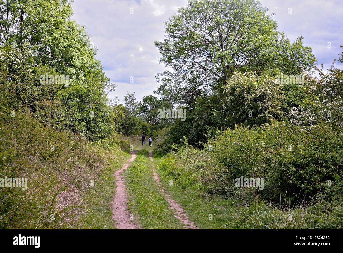 Un couple d'âge moyen marchant sur North Downs Way à Newlands Corner dans les collines de Surrey près de Guildford Surrey, Angleterre Banque D'Images
