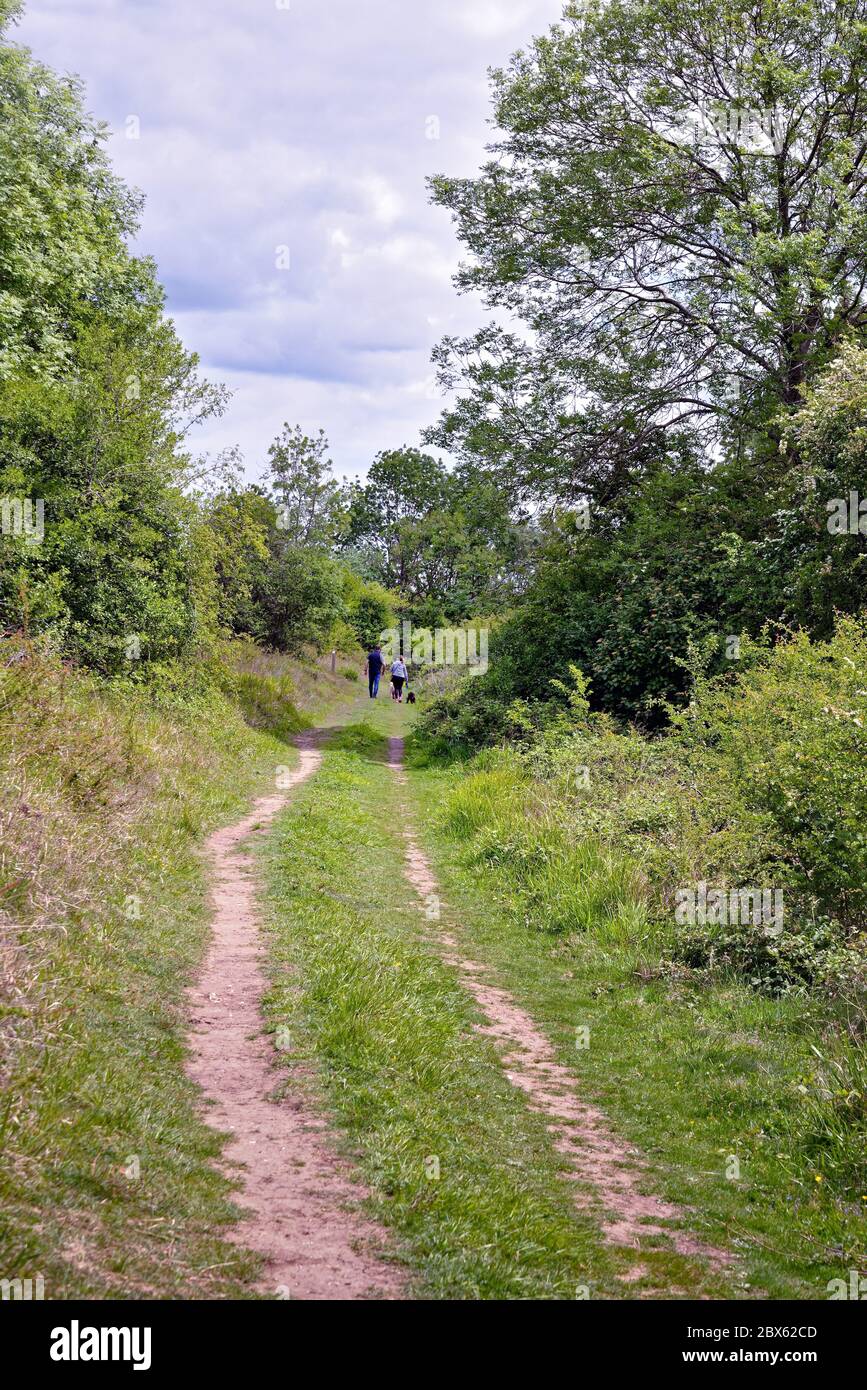 Un couple d'âge moyen marchant sur North Downs Way à Newlands Corner dans les collines de Surrey près de Guildford Surrey, Angleterre Banque D'Images