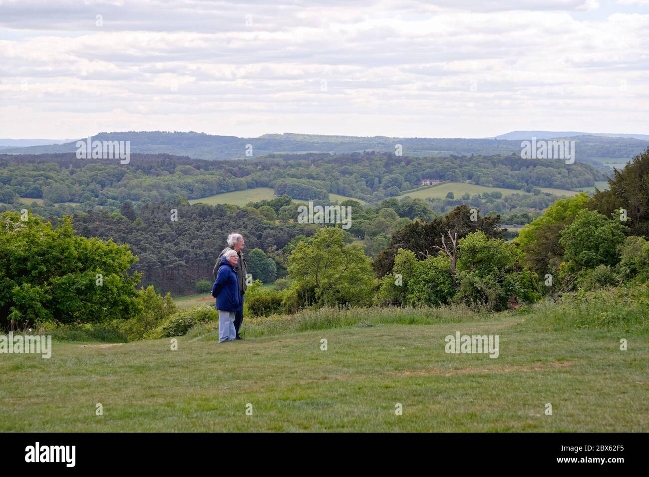 La vue de Newlands Corner dans les collines de Surrey en regardant vers les North Downs au loin, près de Guildford Angleterre Royaume-Uni Banque D'Images