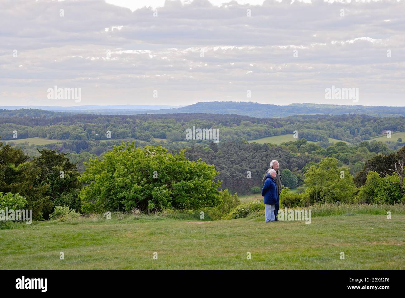 La vue de Newlands Corner dans les collines de Surrey en regardant vers les North Downs au loin, près de Guildford Angleterre Royaume-Uni Banque D'Images