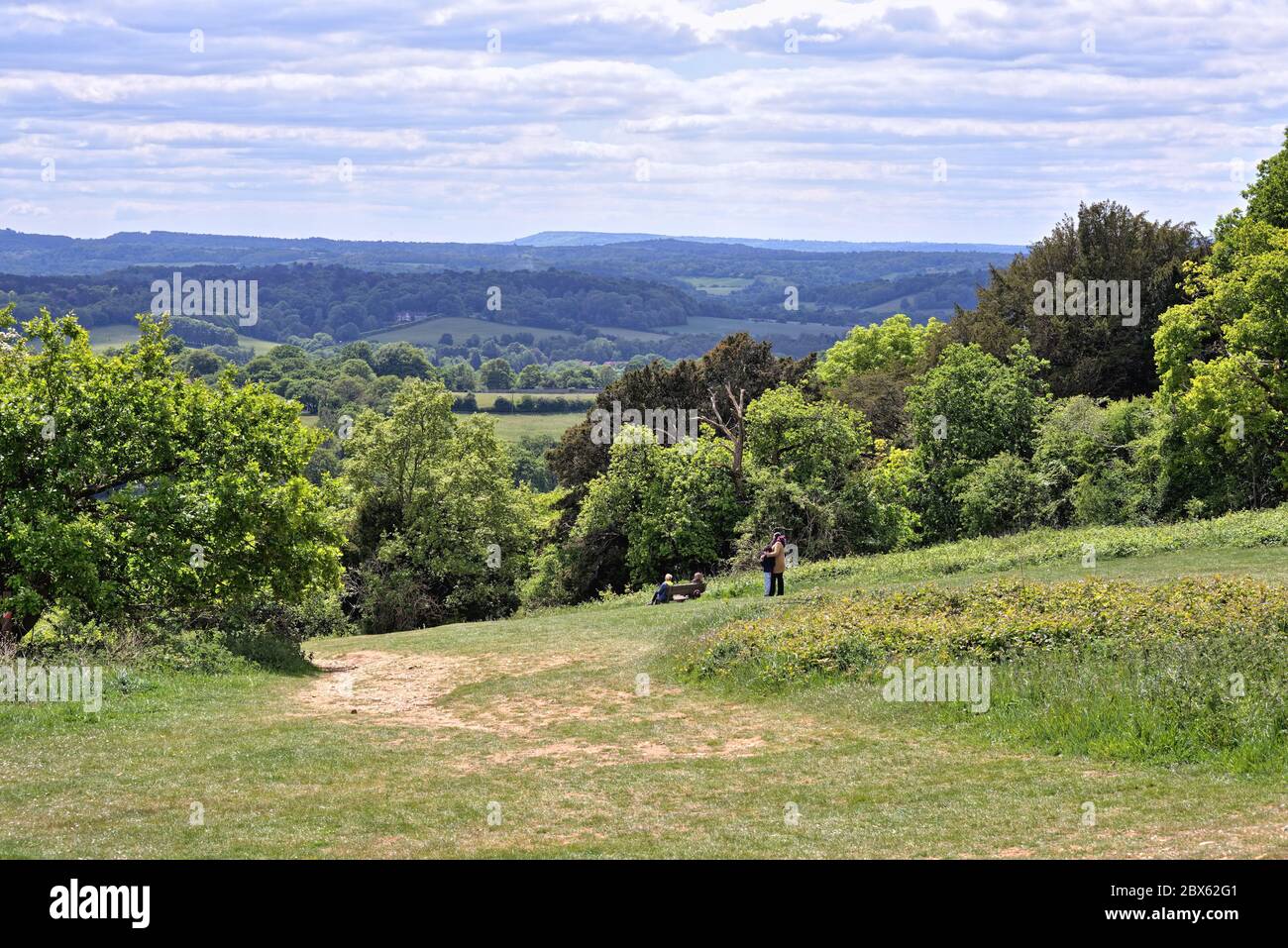 La vue de Newlands Corner dans les collines de Surrey en regardant vers les North Downs au loin, près de Guildford Angleterre Royaume-Uni Banque D'Images