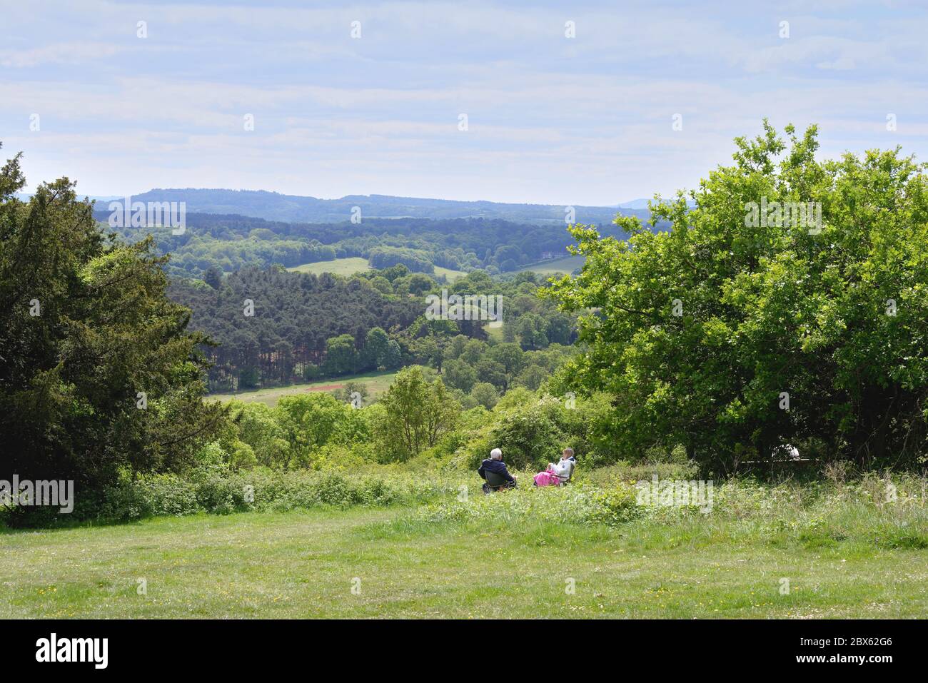 La vue de Newlands Corner dans les collines de Surrey en regardant vers les North Downs au loin, près de Guildford Angleterre Royaume-Uni Banque D'Images