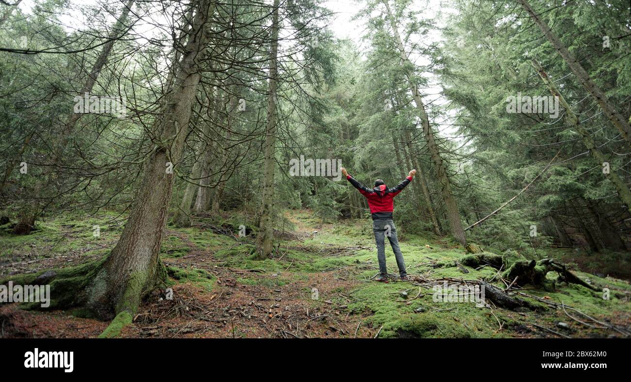 un homme qui marche seul dans une forêt par une journée de brouillard Banque D'Images